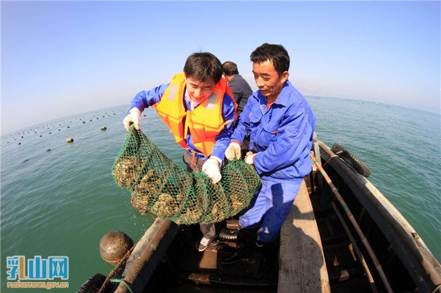 乳山生蚝宴,蚝门盛宴乳山生蚝