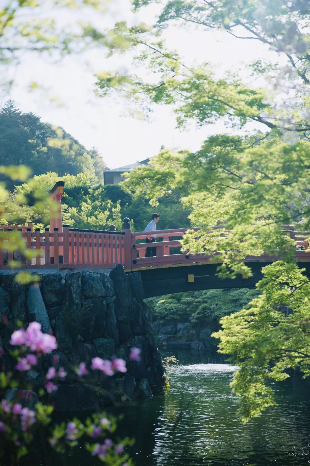 大阪|你错过了这座带仙气儿的寺庙,以及跳蚤市场和潮牌一条街…