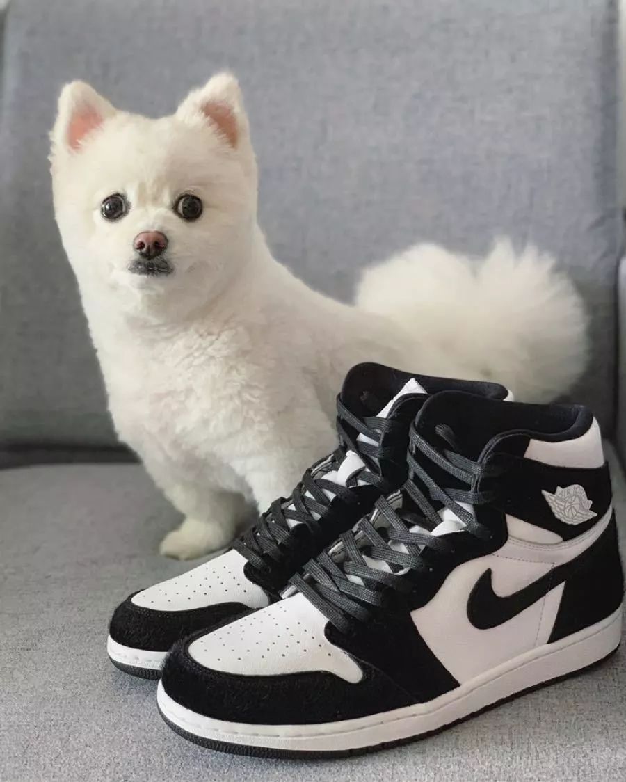 aj11low蓝蛇裸鞋,nikeaj空军一号高帮开箱