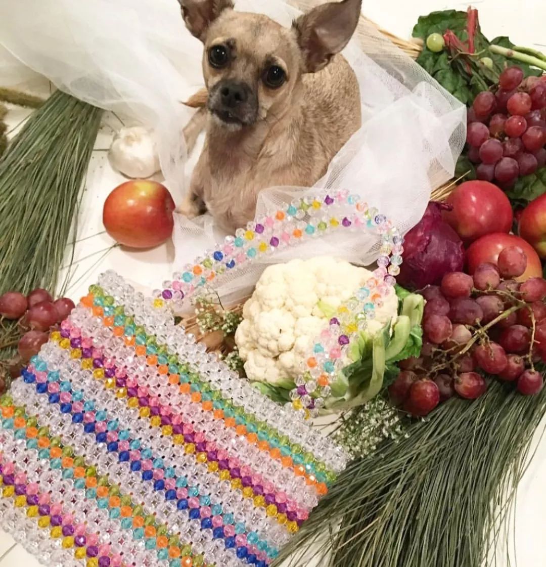 适合夏天的小众包推荐边看边买,平价精致小包包推荐小众高级感