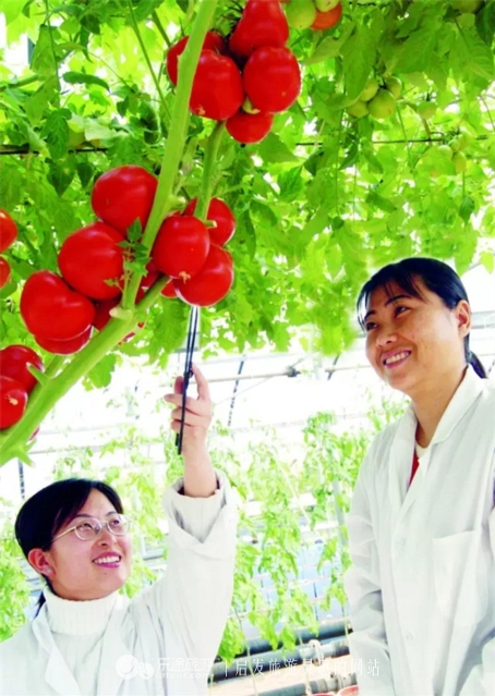 北京韩村河旅游景区,最美乡村西沟旅游村