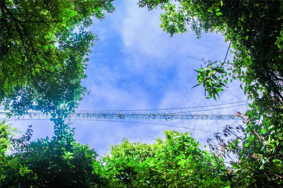 佛山凉快一点景点,佛山附近凉快的地方避暑胜地