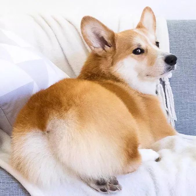 把我设置成不可见了是什么心态,为什么有人把朋友圈设成三天可见