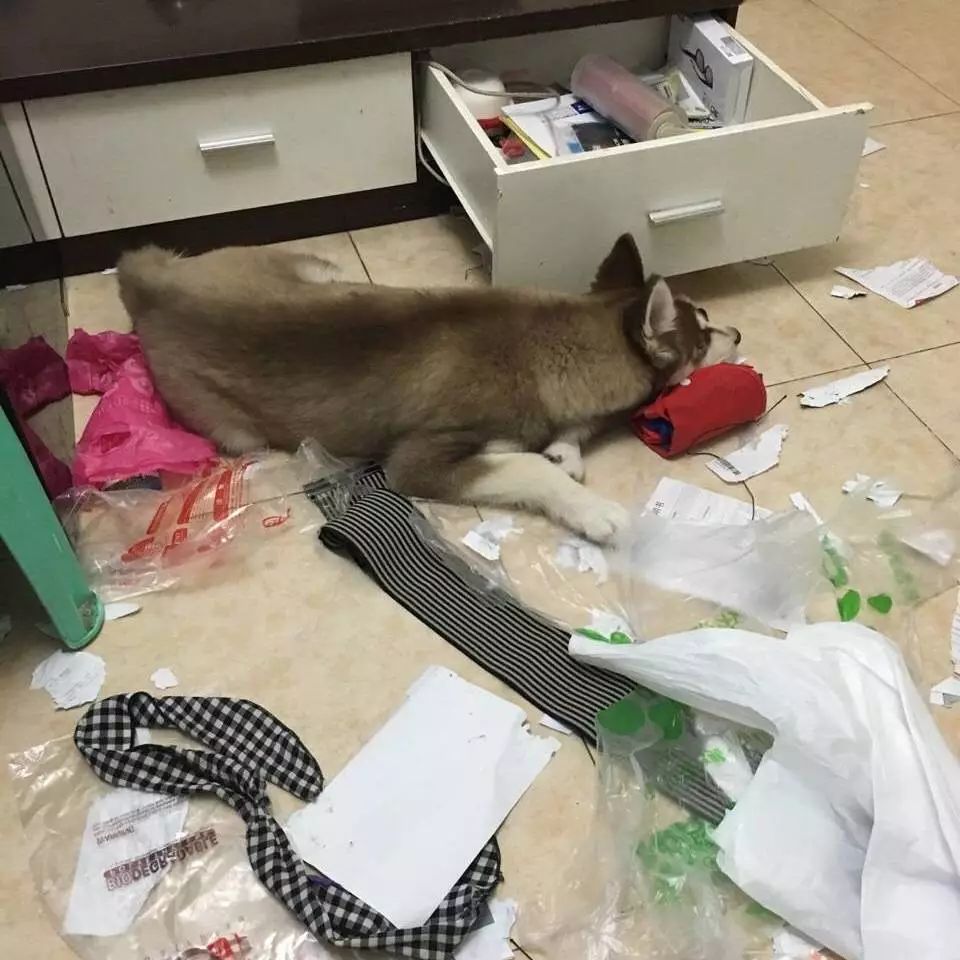 朋友圈设成三天可见代表着什么,有时候把朋友圈设成三天可见