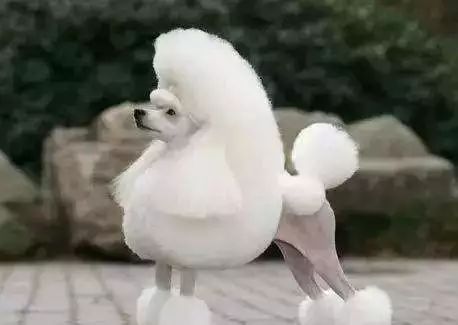 把我设置成不可见了是什么心态,为什么有人把朋友圈设成三天可见