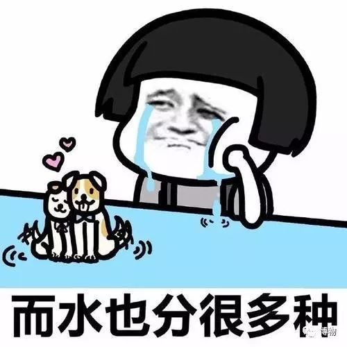 脑子进水了后悔不,脑子进水了掉井里