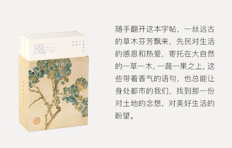 诗经中最唯美的文字,诗经的美才是真的美