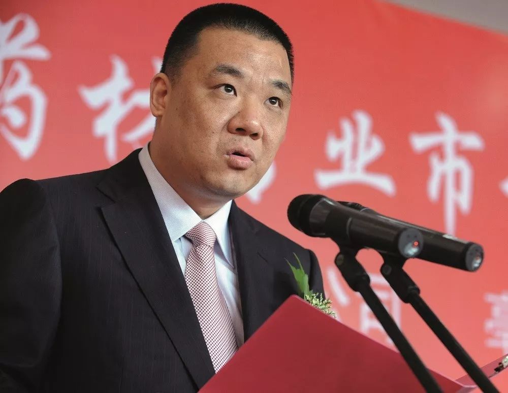 谁在帮助康美药业瞒天过海？