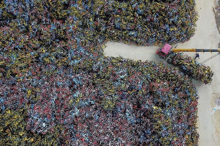 我们的城市病了怎么办,我们的城市病了英文视频