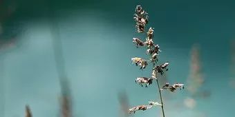 如何让心理咨询师成为副业,如何成为心理咨询师培训机构