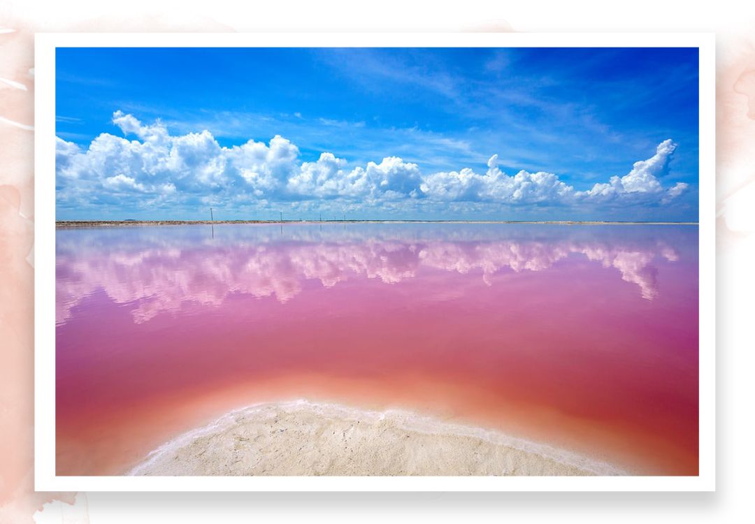 520去哪比较浪漫,520发愁送啥