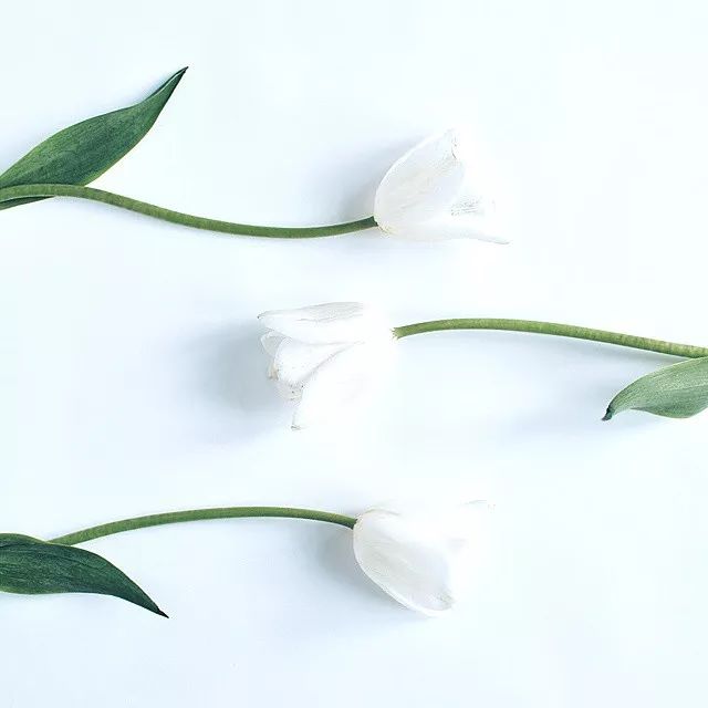 15种高情商的表现,高情商的七个迹象