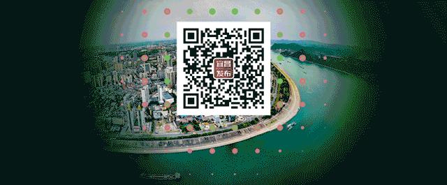 看江豚的图片,江豚会笑