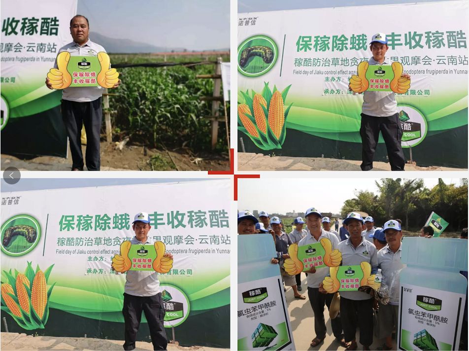 草地贪夜蛾入侵河北,草地贪夜蛾灾情