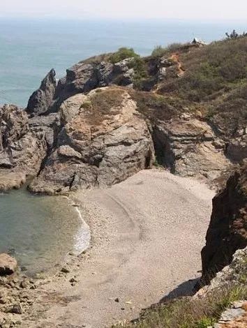 玩转大连森林公园,逛遍大连森林公园