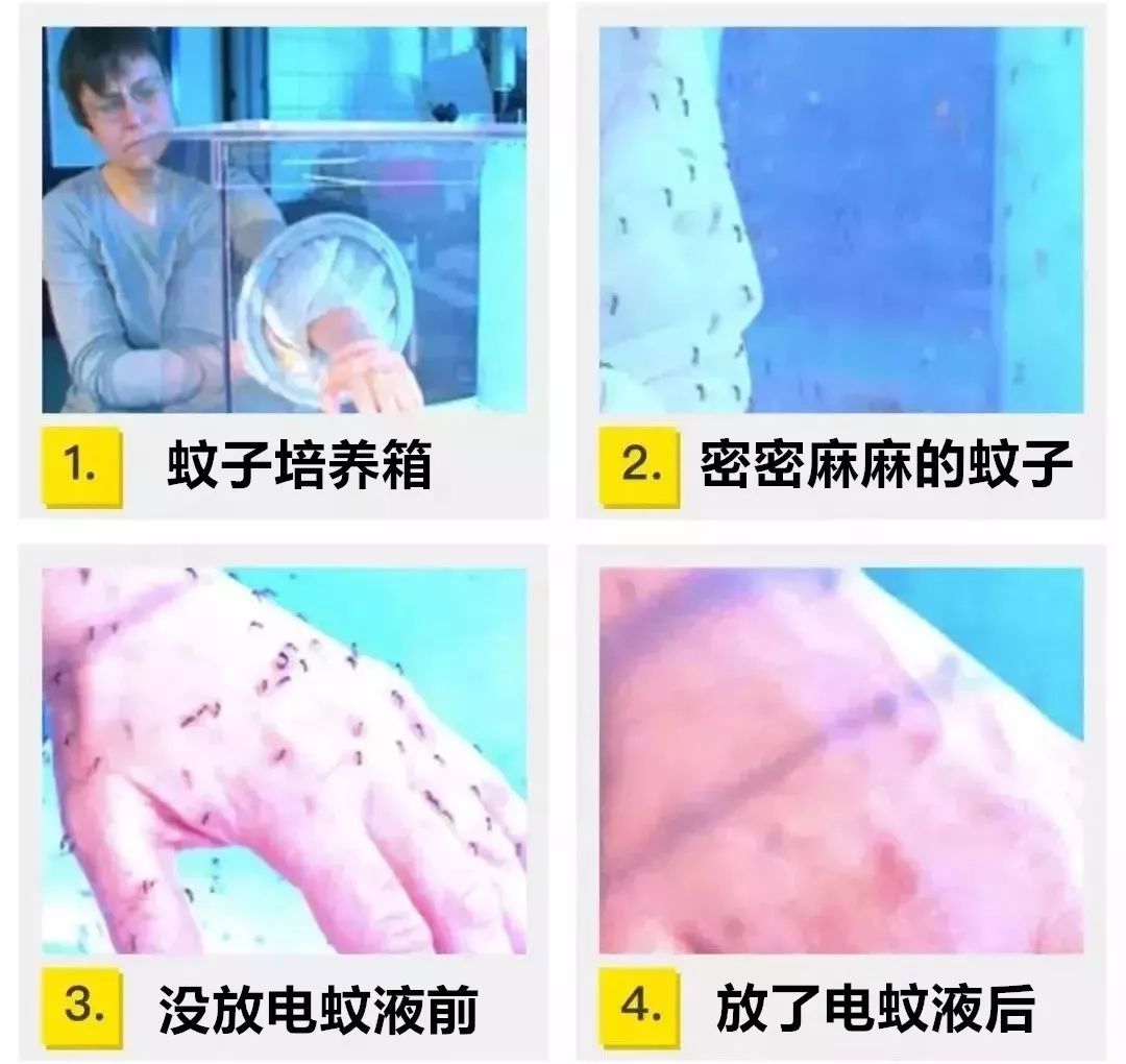 室内灭蚊子杀虫剂还是电蚊香液,家里没有蚊香灭蚊虫最简单的办法