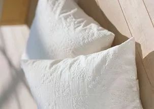 一招教你杀菌除螨,不用水洗怎样灭螨虫