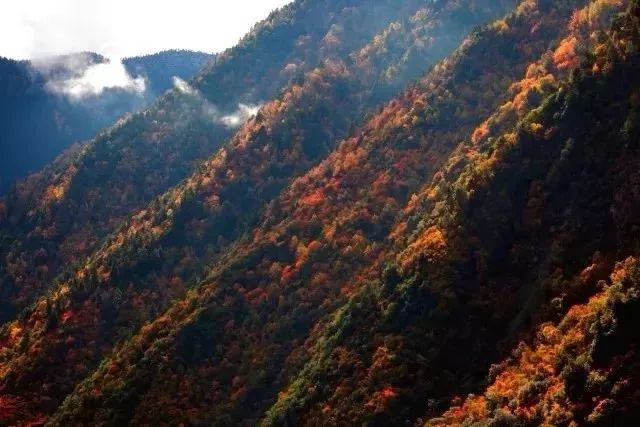 当四川人和重庆人见面,当四川人相遇