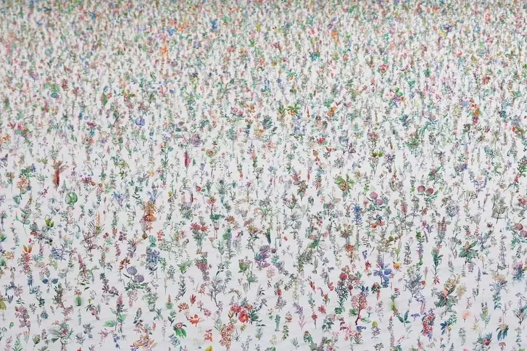 “可持续发声”的艺术，用“意想不到”告诉你什么叫“环保”