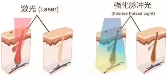 郑恺被何穗拒绝是哪一期,郑恺何穗最新微博