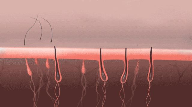 郑恺被何穗拒绝是哪一期,郑恺何穗最新微博