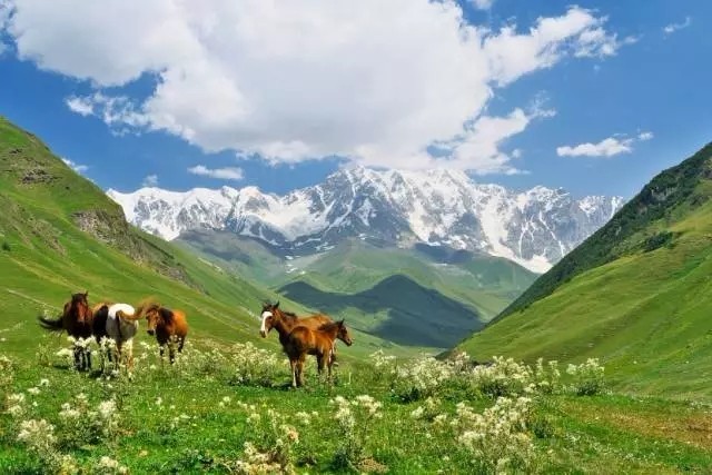 格鲁吉亚旅游有什么好景点,乌鲁木齐格鲁吉亚宝藏