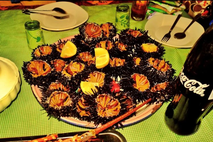 电子签又一国！海景堪比马代，物价却比泰国还低！直飞碾压朋友圈99%好友