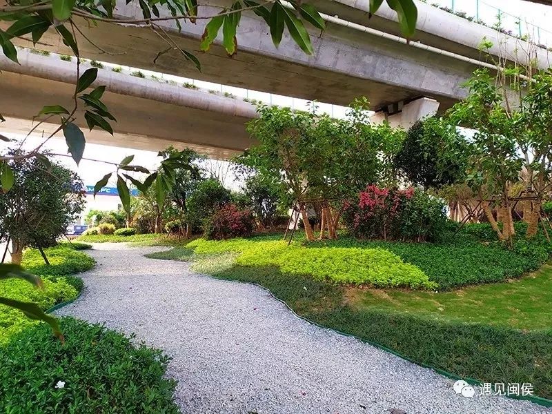 闽侯兜风,兜风去了原视频