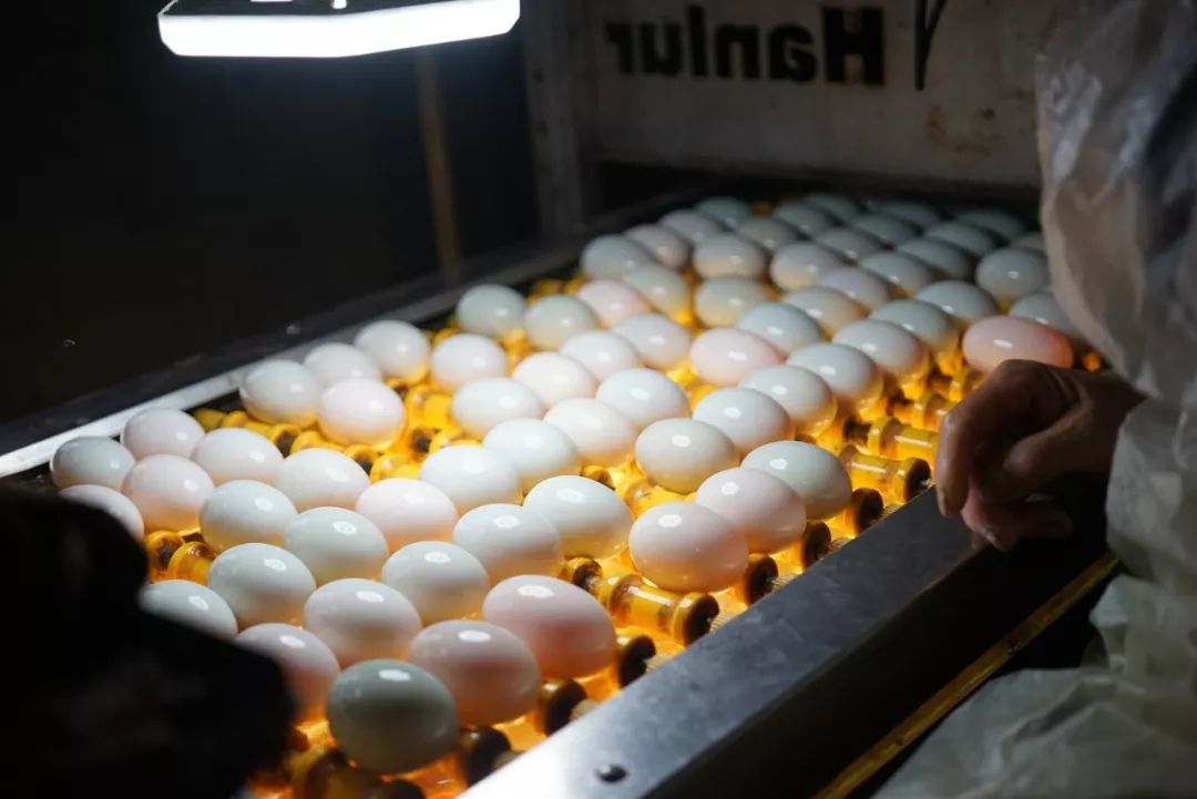 五月种草|栀子乌龙快乐水藕粉丸子葡萄酒盐