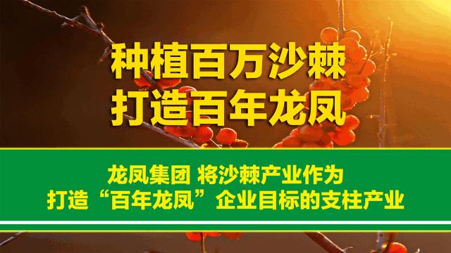 我爱我家墙布,格莱美墙纸设计