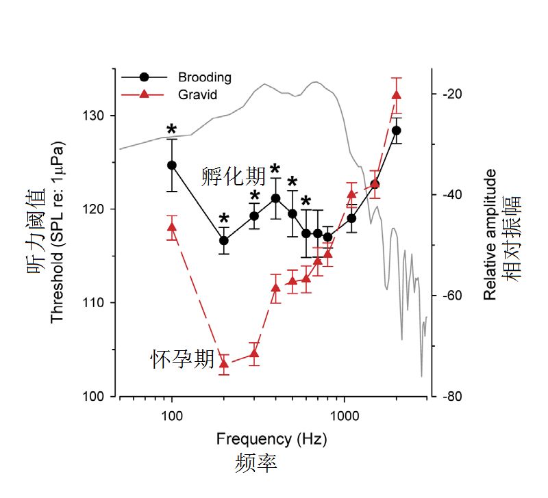 鱼儿会说话吗,鱼儿叫动物吗