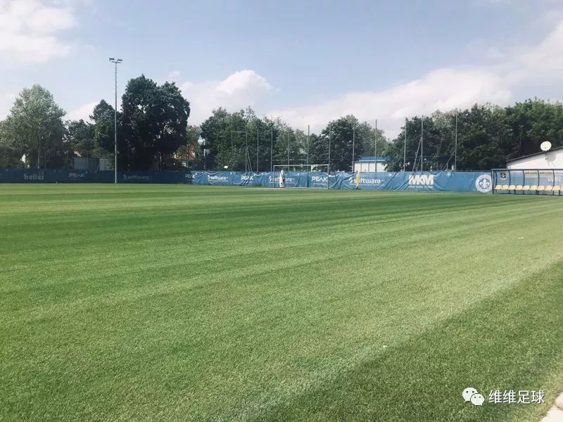 黑娃教练深受厚爱,黑娃教练