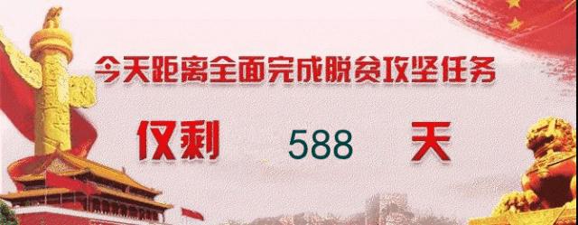 大坪的“绿色步伐——来自安定区青岚乡大坪村的蹲点报告