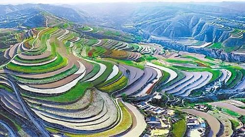 大坪的“绿色步伐——来自安定区青岚乡大坪村的蹲点报告