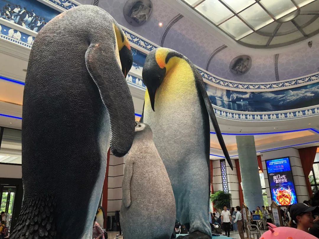 夏天哪个海岛最凉快,高温天气适合去哪旅游