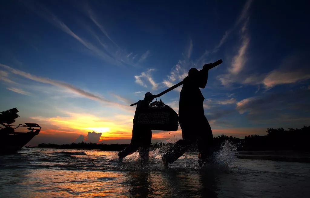 渔家女朋友圈直播,渔家女海鲜直播