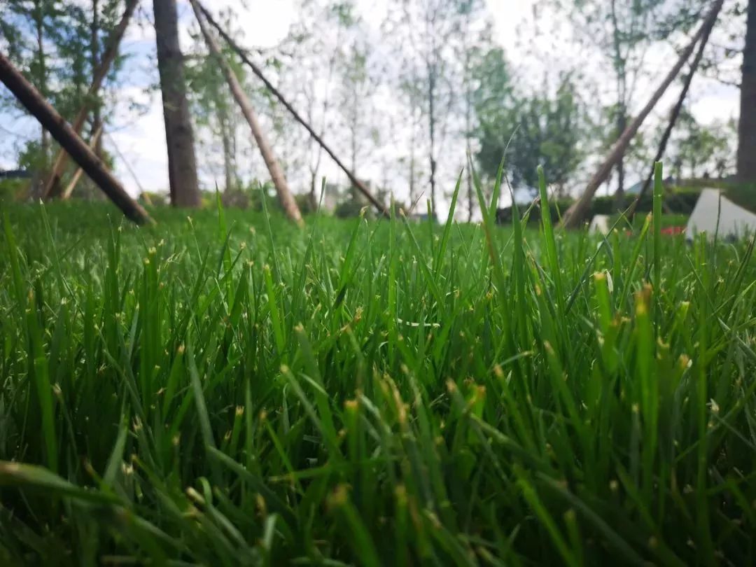 西安周边休闲美景,近期西安开放的景点