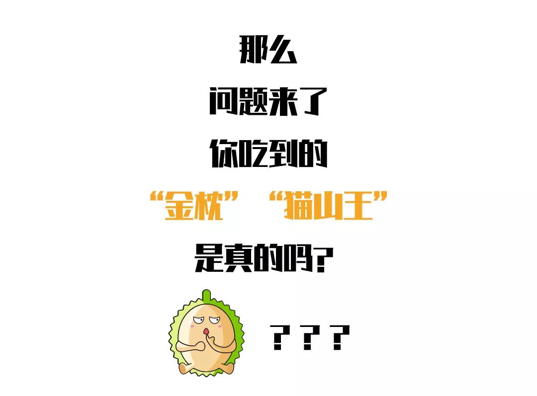 进口水果小百科系列｜你的“猫山王”是真的吗？