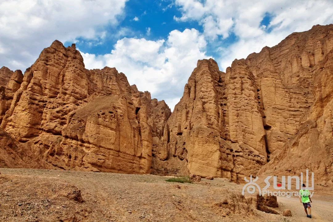 黄河石林奇观大全,黄河石林有多震撼