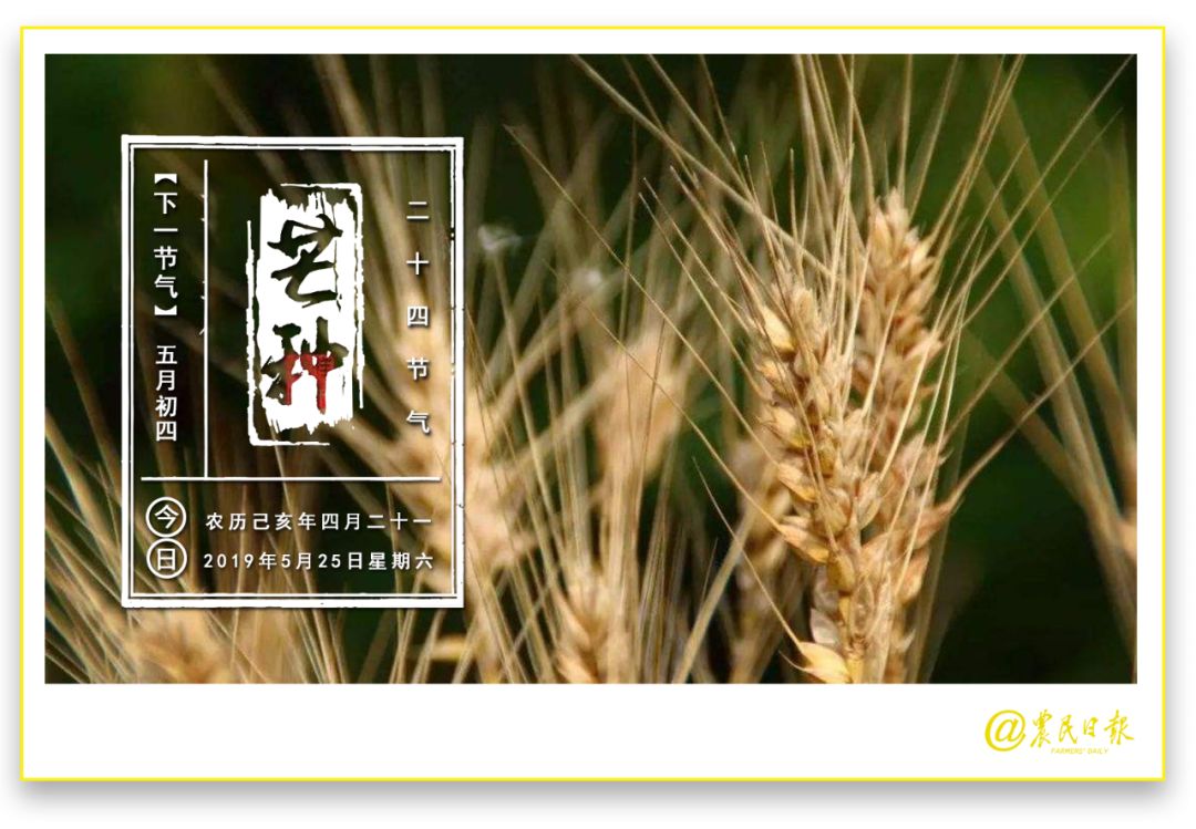 现在乡下可以收快递吗,一般农村可以收快递吗