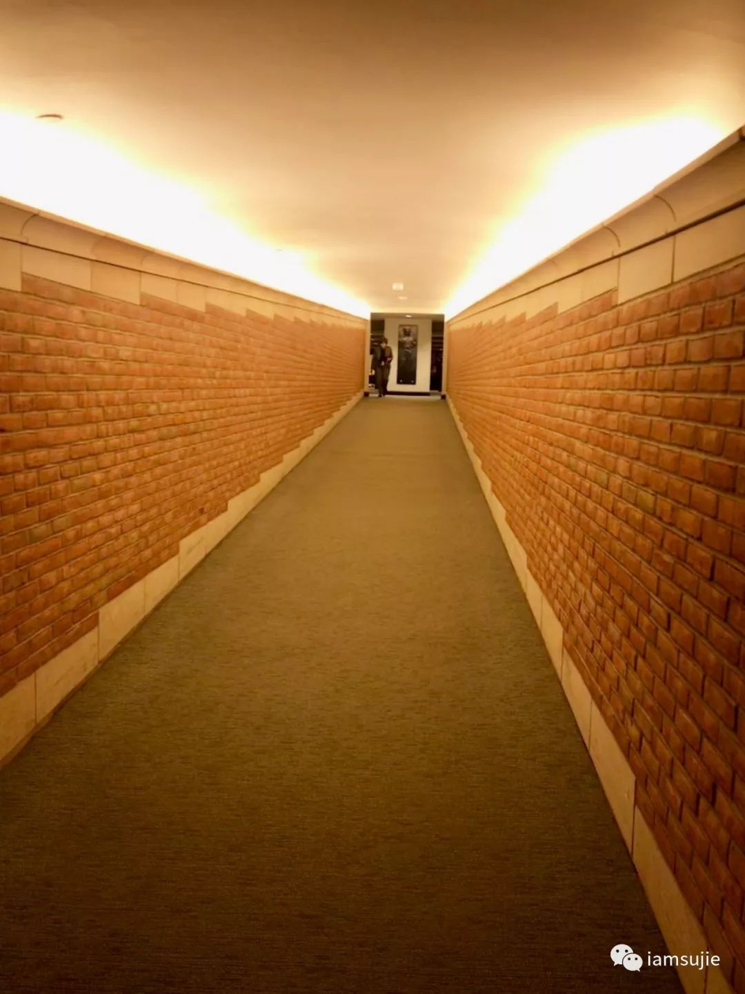 反走崛起之路4：国际大都市——纽约