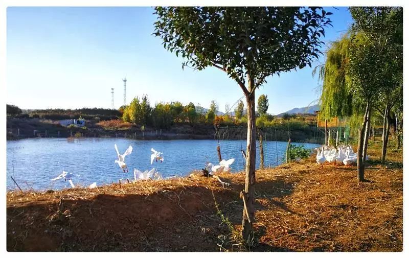 周末去哪儿快来这里尽情撒欢吧,周末周边游去一趟自己想去的地方