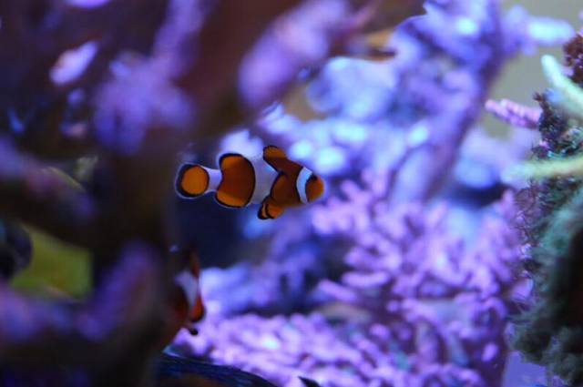 鉴定完毕！这一定是个有钱的主儿