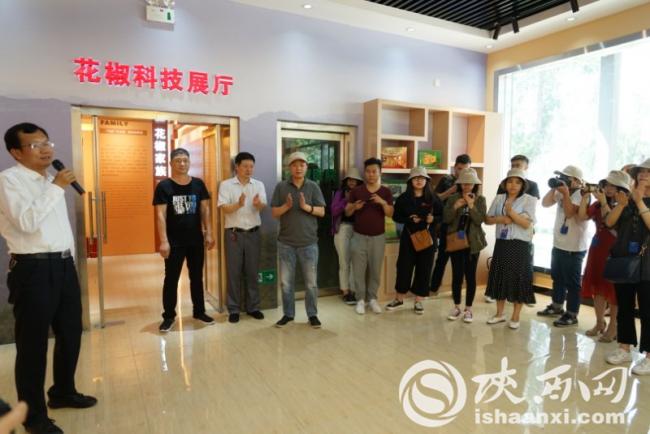 从酸奶和爽肤水看陕西韩城这个花椒“大生意”