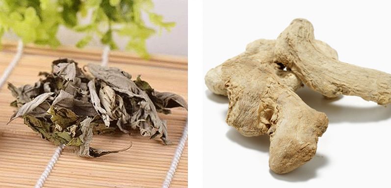 真人秀遇生理期也能撒狗粮,“多喝热水”竟成送命答案