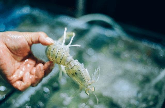 玩转三亚最实用的攻略在这里,三亚休闲之旅吃喝玩乐全攻略