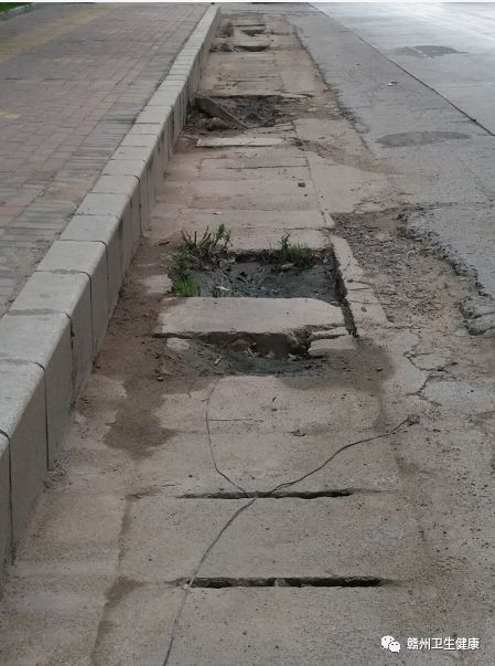 创卫新闻郭素芳,创卫现在的情况