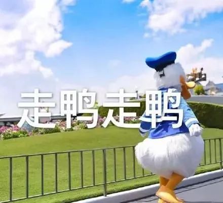 41℃高温来袭！6月白菜价机票来了！从郑州出发最低只要181元