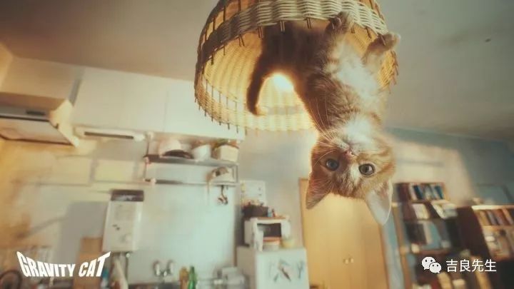 太荒诞了!这些时尚界的广告玩很大!