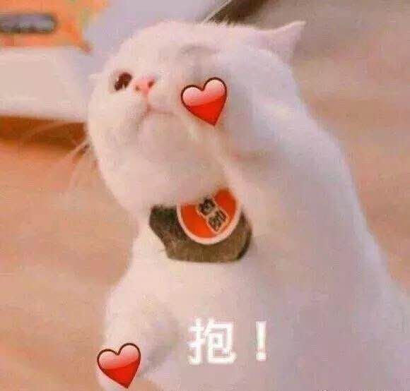 大s活得有多奢侈,大s看起来胖是真胖吗